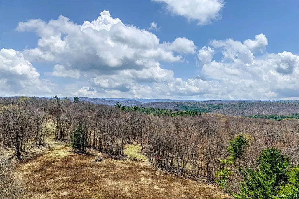Frank Slawson Road Other NY 13820