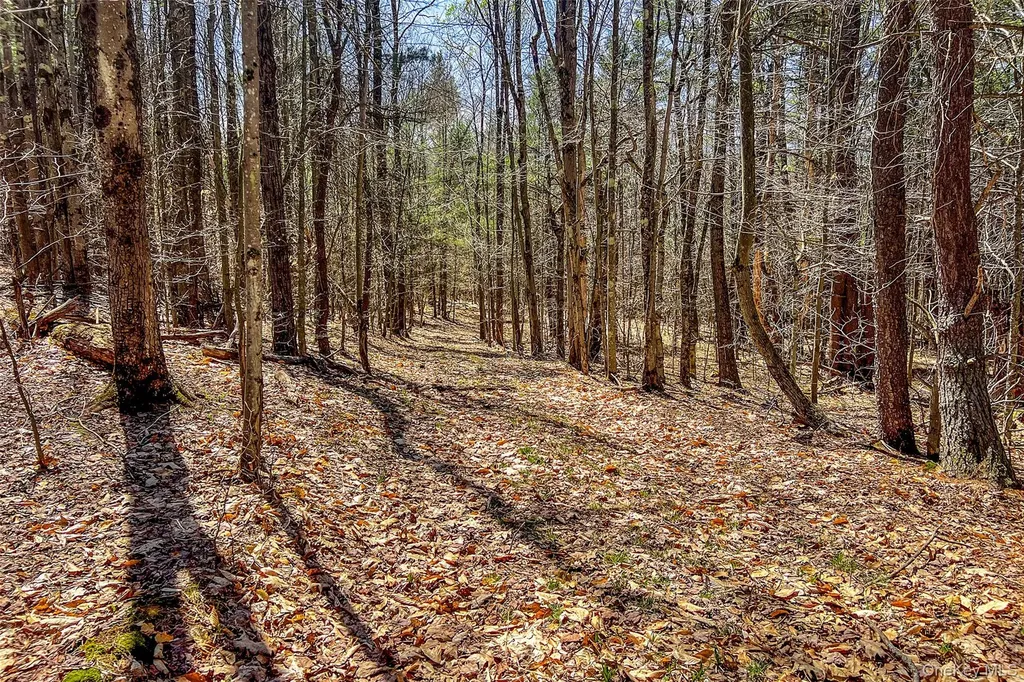 Frank Slawson Road Other NY 13820