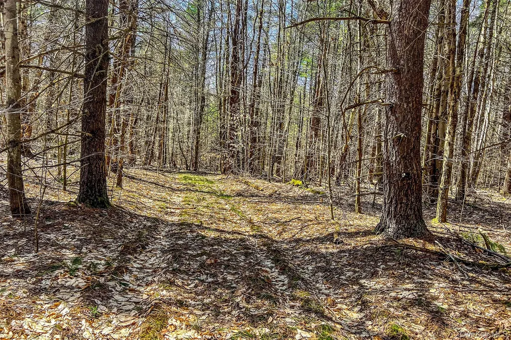 Frank Slawson Road Other NY 13820