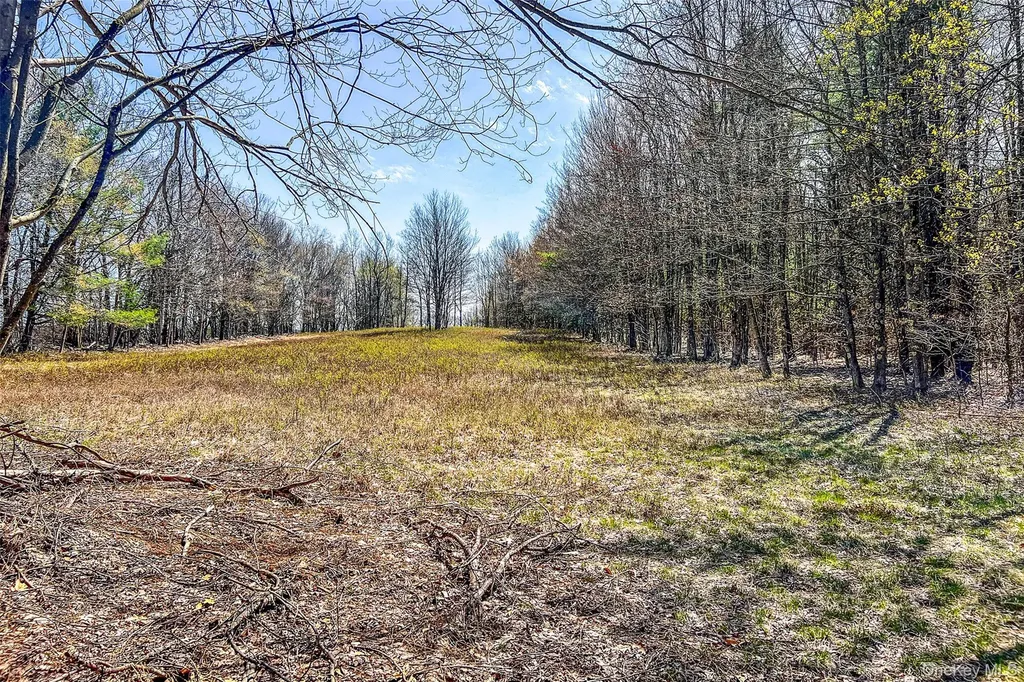 Frank Slawson Road Other NY 13820