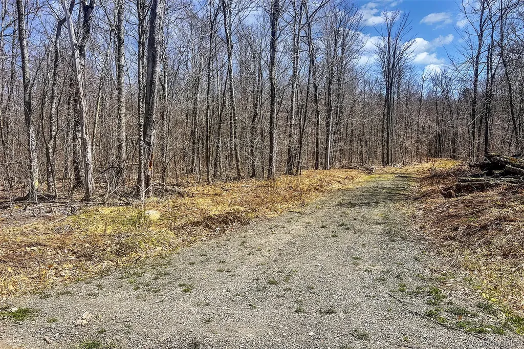 Frank Slawson Road Other NY 13820