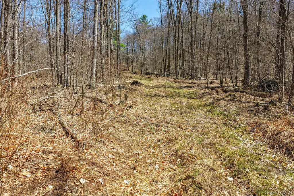 Frank Slawson Road Other NY 13820