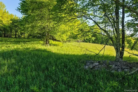 Frank Slawson Road Other NY 13820