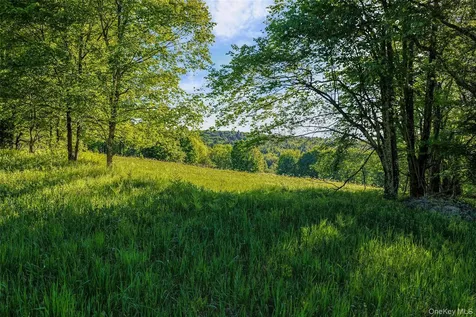 Frank Slawson Road Other NY 13820