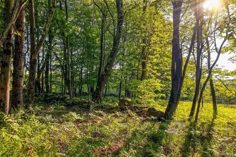 Frank Slawson Road Other NY 13820