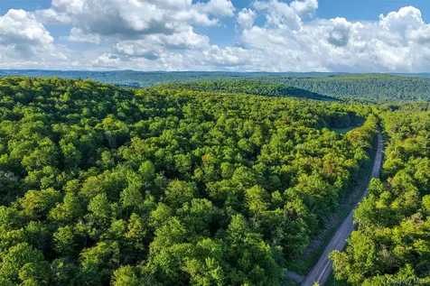 Frank Slawson Road Other NY 13820