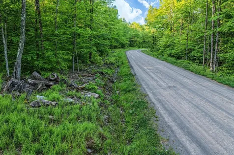 Frank Slawson Road Other NY 13820
