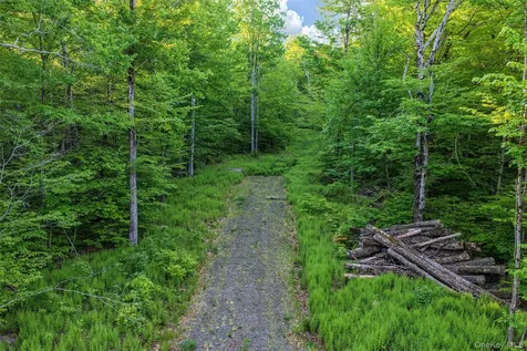 Frank Slawson Road Other NY 13820