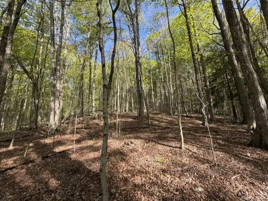 Glenwild Drive Smallwood NY 12720
