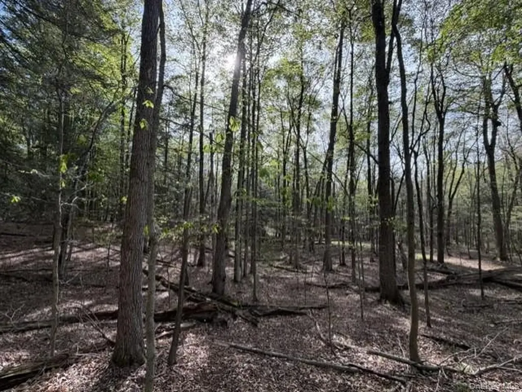 Glenwild Drive Smallwood NY 12720