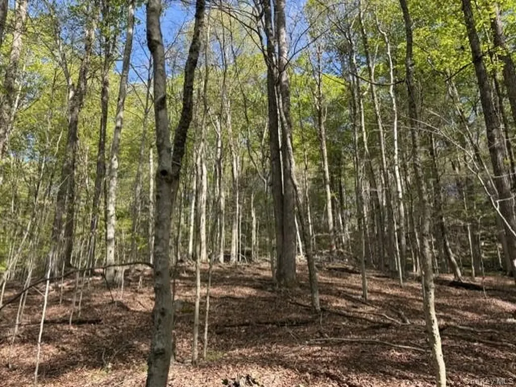 Glenwild Drive Smallwood NY 12720