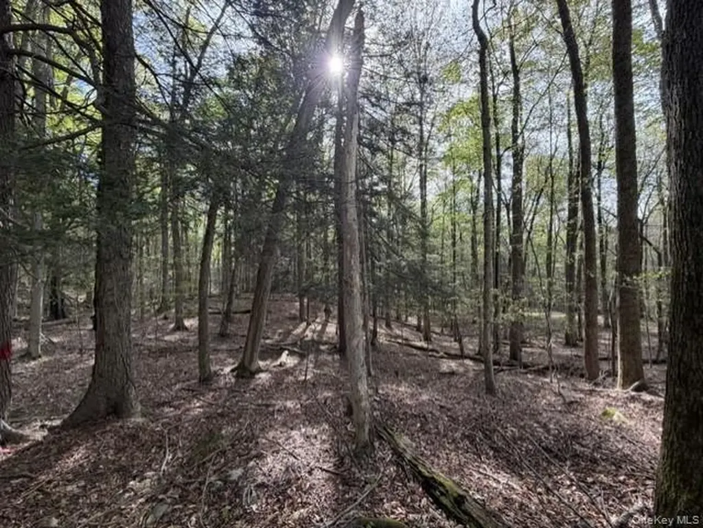 Glenwild Drive Smallwood NY 12720