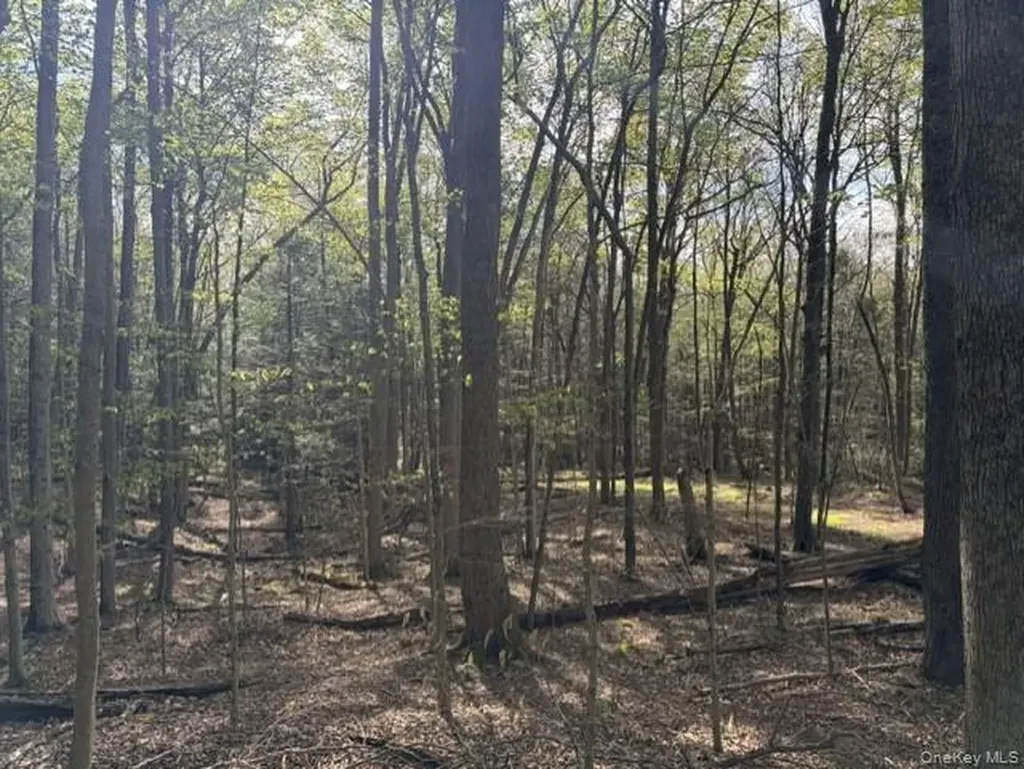 Glenwild Drive Smallwood NY 12720