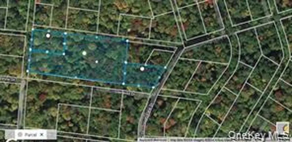 Glenwild Drive Smallwood NY 12720