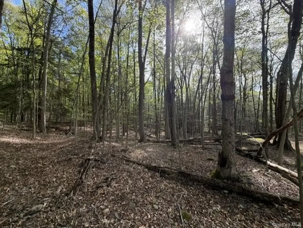 Glenwild Drive Smallwood NY 12720