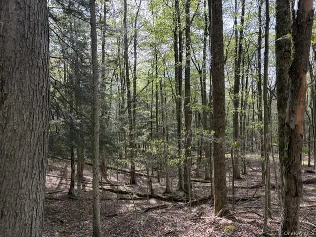 Glenwild Drive Smallwood NY 12720