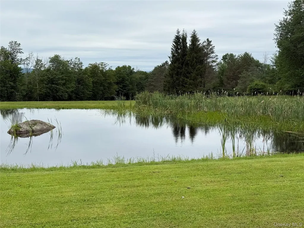191 Rose Road Woodbourne NY 12788