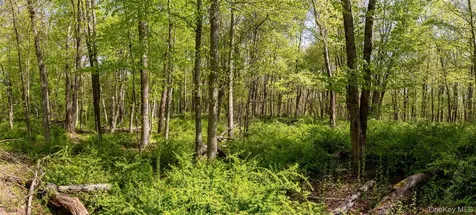 298 Nash Road North Salem NY 10560