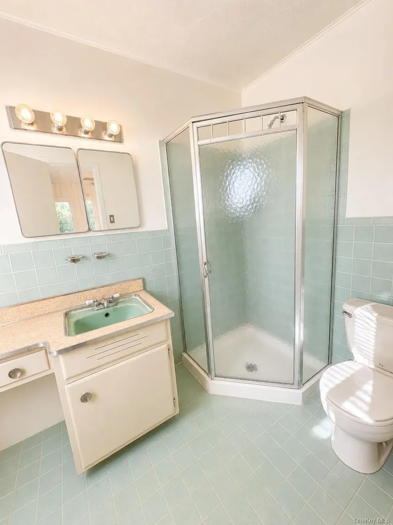 36 Forest Drive Plainview NY 11803