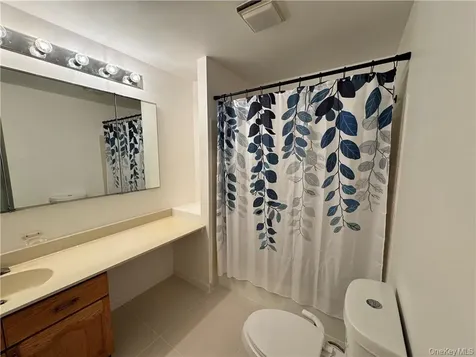 17 Rambling Brook Road Chappaqua NY 10514