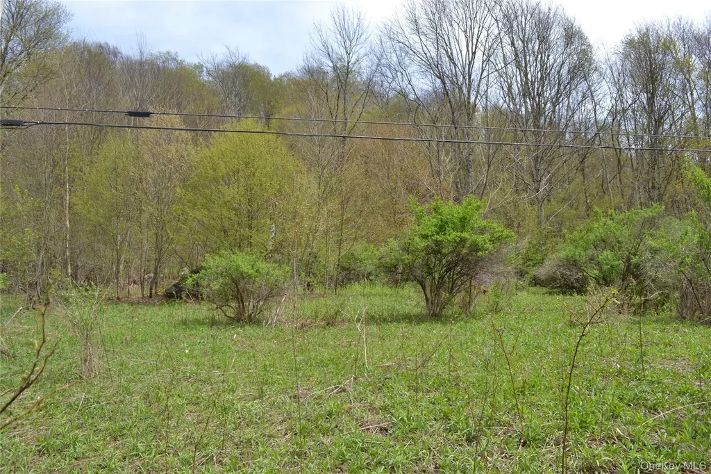 756 County Highway 21 Walton NY 13856