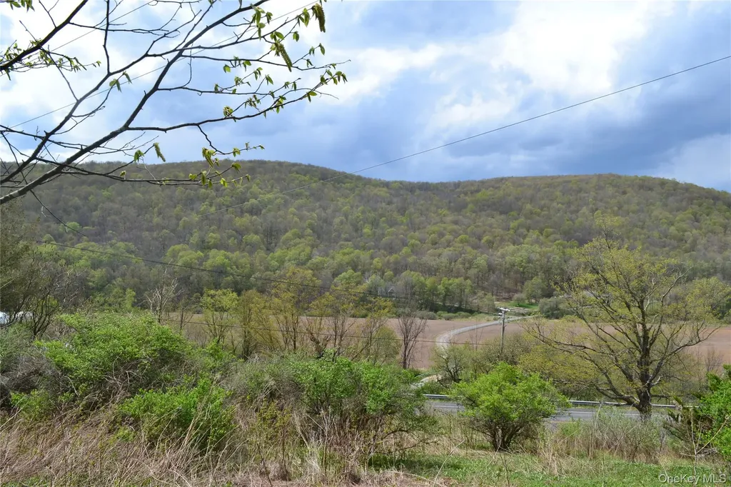 756 County Highway 21 Walton NY 13856