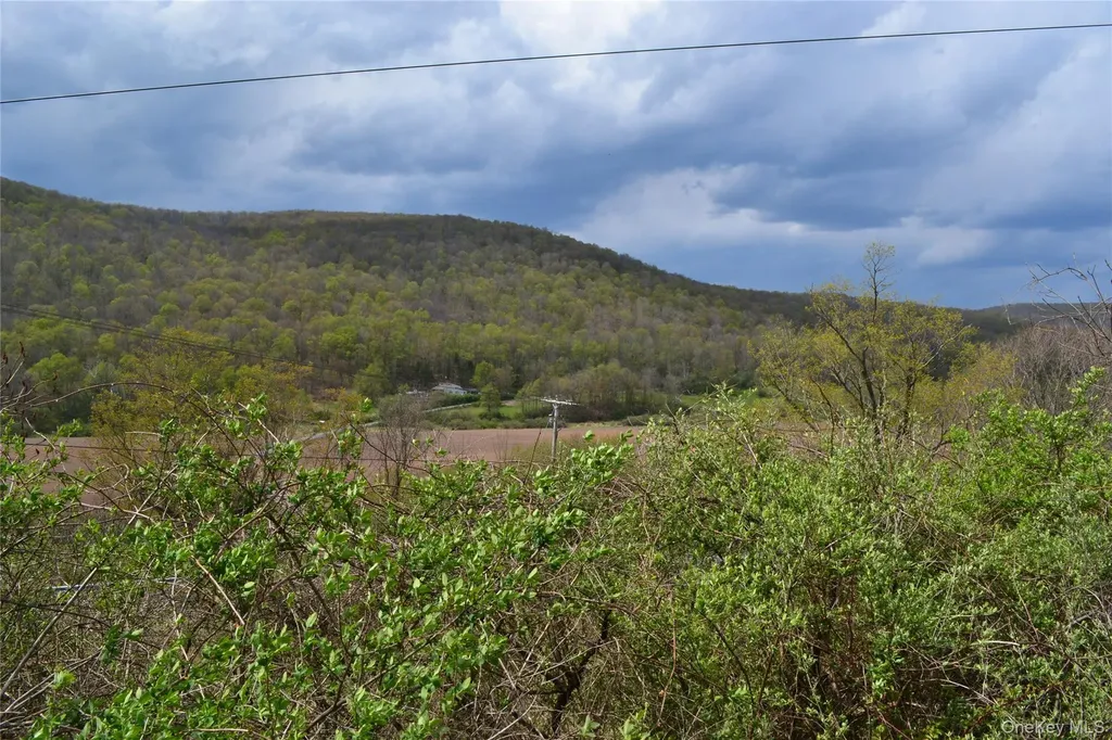 756 County Highway 21 Walton NY 13856