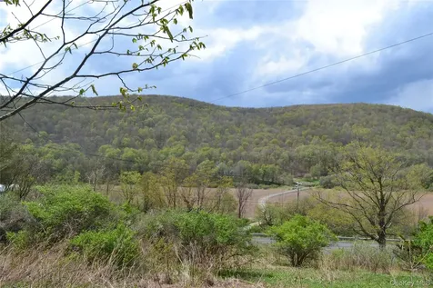 756 County Highway 21 Walton NY 13856