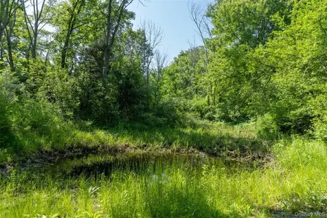 508 Woodstock Road Millbrook NY 12545