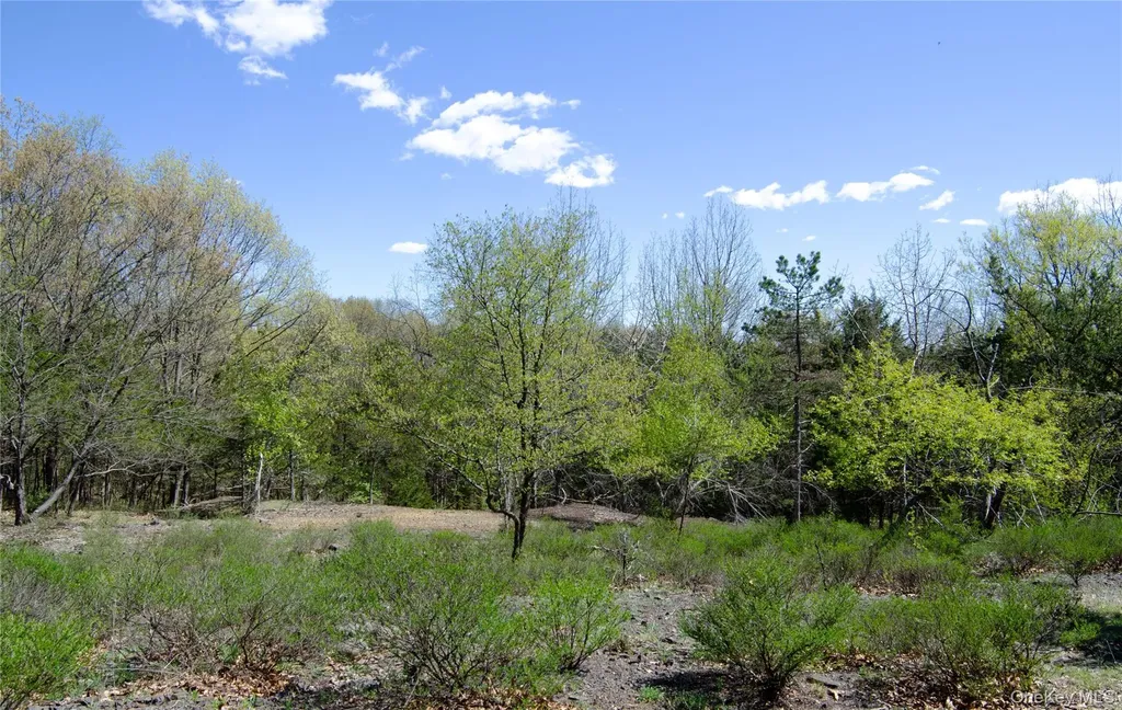 4317 Ny 23 Hudson NY 12534