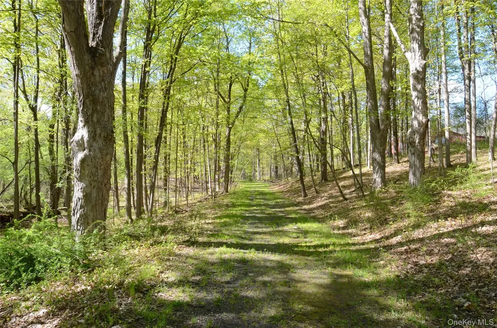 4317 Ny 23 Hudson NY 12534