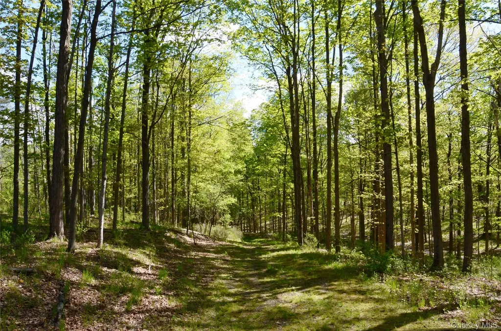 4317 Ny 23 Hudson NY 12534