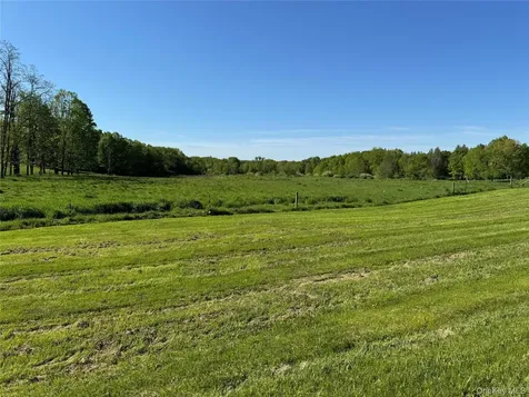 Tbd Woodstock Road Millbrook NY 12545
