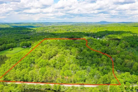 Parcel 1 - TBD Woodstock Road Millbrook NY 12545