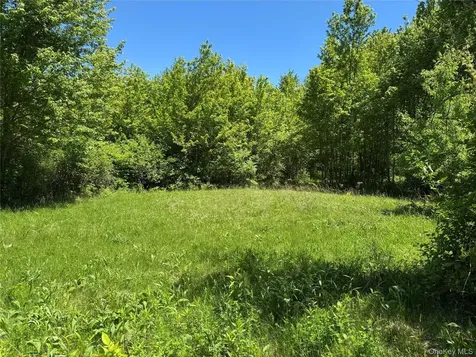 Parcel 1 - TBD Woodstock Road Millbrook NY 12545
