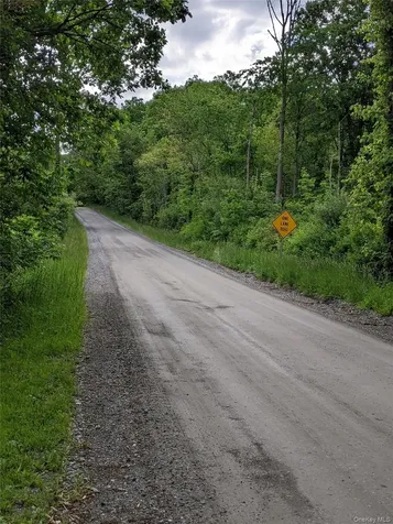 Parcel 1 - Tbd Woodstock Road Millbrook NY 12545
