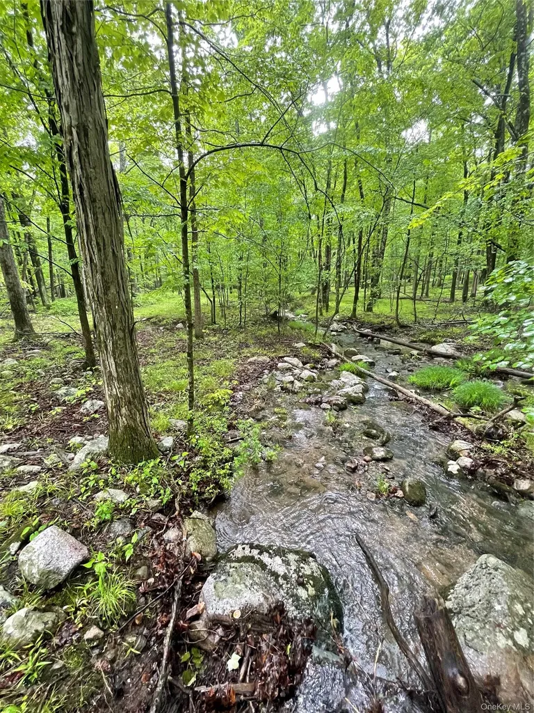 894 Upper Mountain Road Pine Bush NY 12566