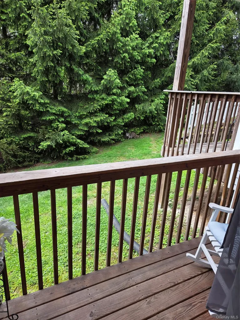 49 Aveonis Court Fishkill NY 12524