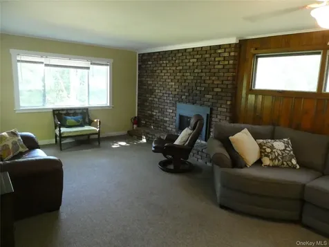 60 Mountain View Drive Elizaville NY 12523