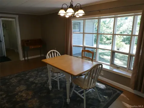 60 Mountain View Drive Elizaville NY 12523