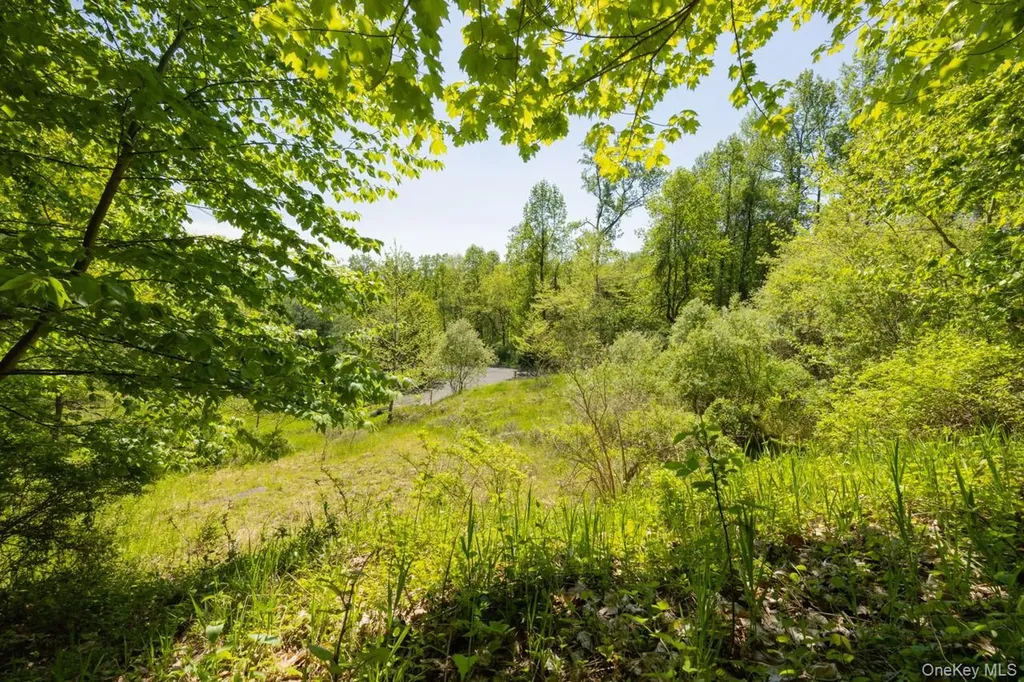 15 Badi Drive Nyack NY 10960