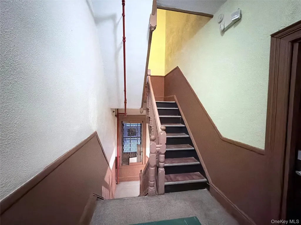 482 Ridgewood Avenue Brooklyn NY 11208