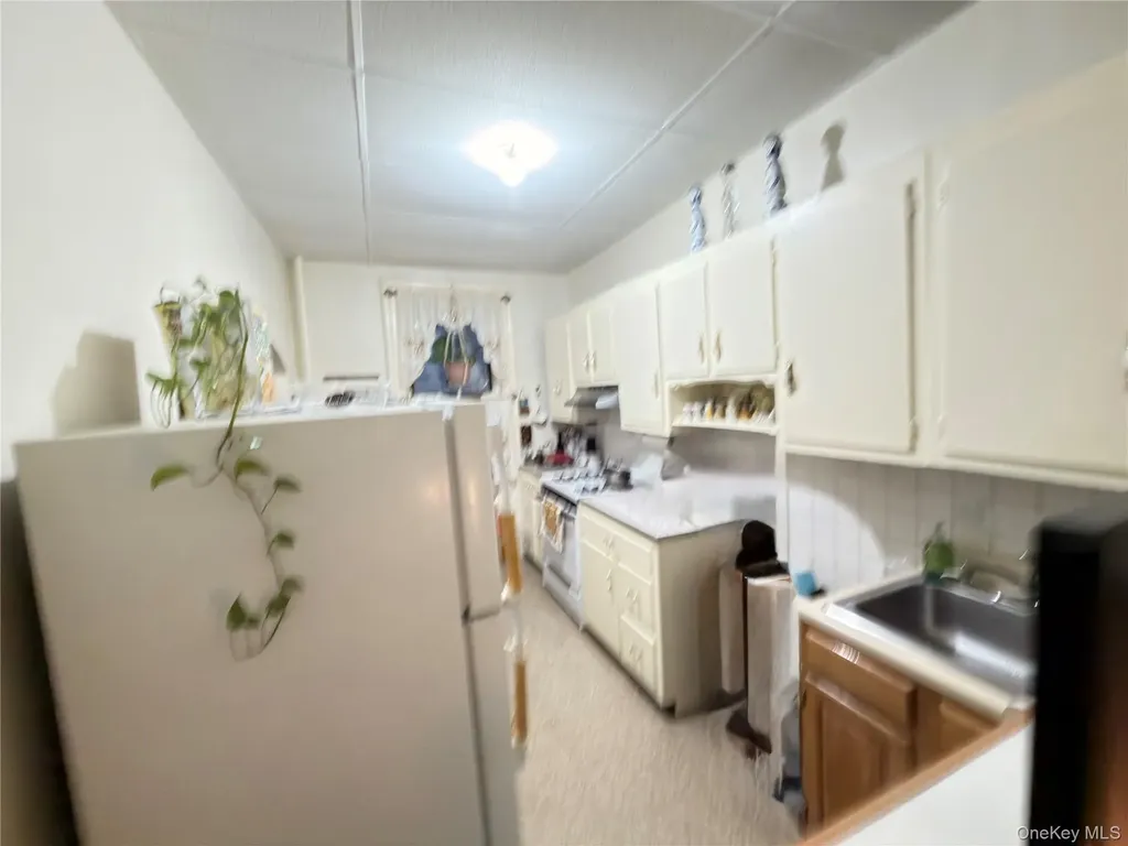 482 Ridgewood Avenue Brooklyn NY 11208