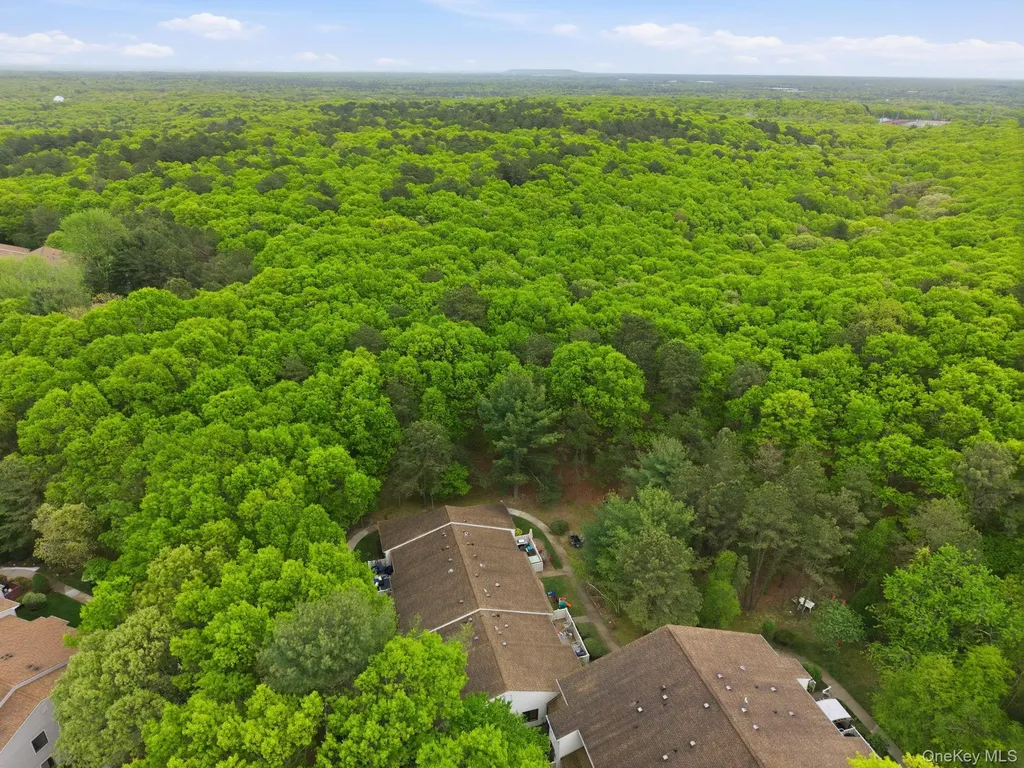 938 Skyline Drive Coram NY 11727