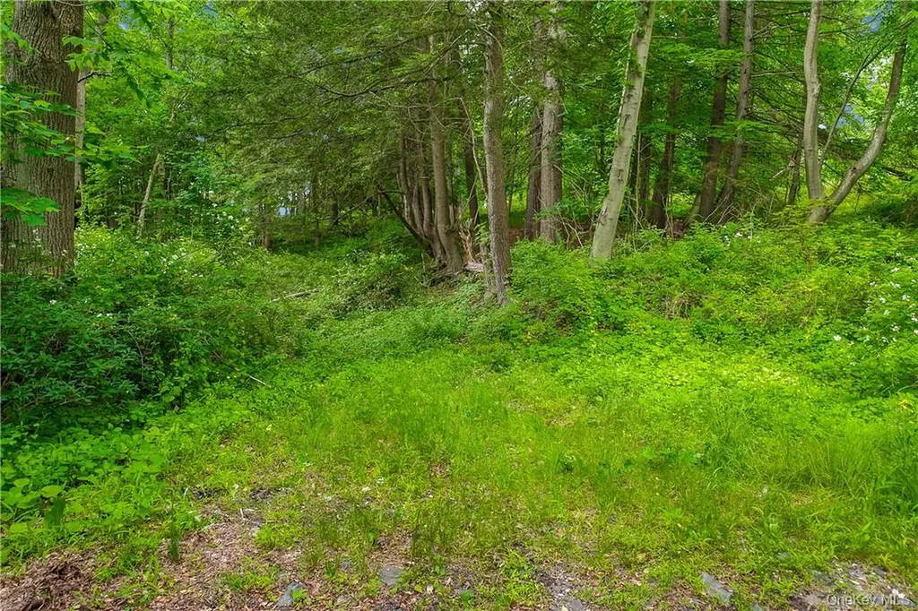 28 Mclain - Lot 2 Street Bedford Corners NY 10549