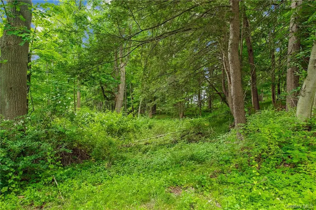 28 Mclain - Lot 2 Street Bedford Corners NY 10549