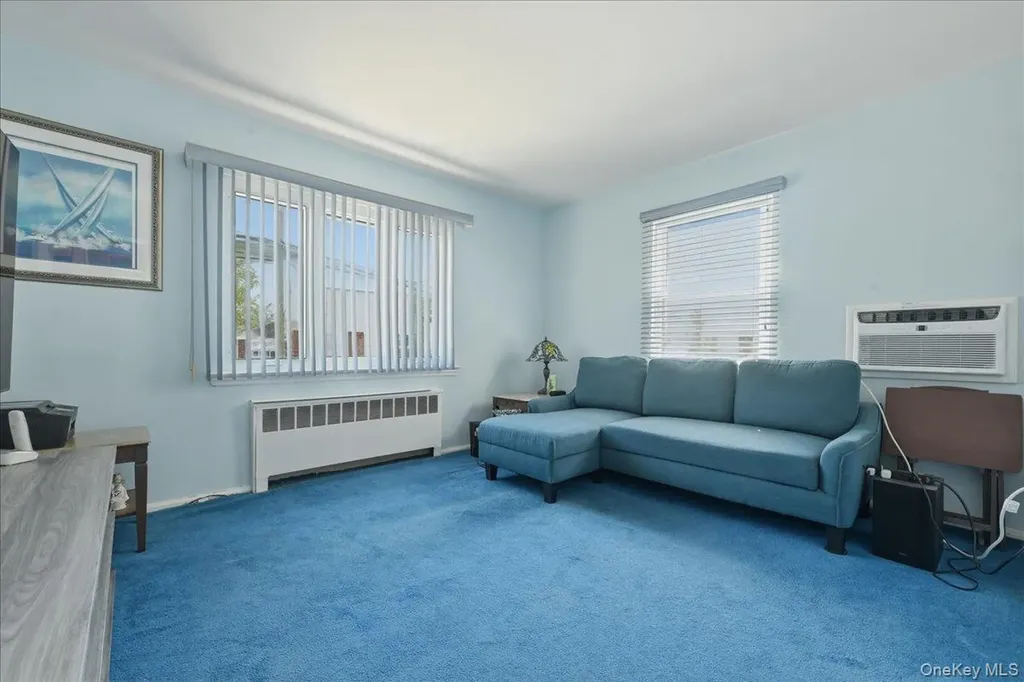 58 Lyon Street Valley Stream NY 11580