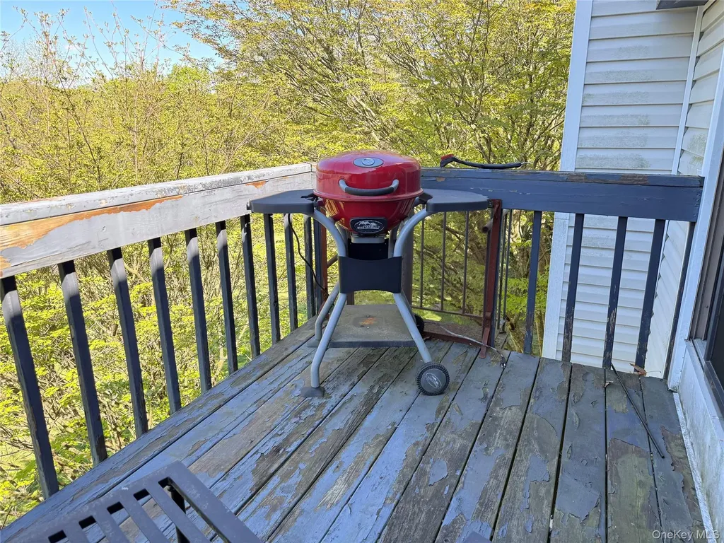 110 Drew Lane Carmel NY 10512