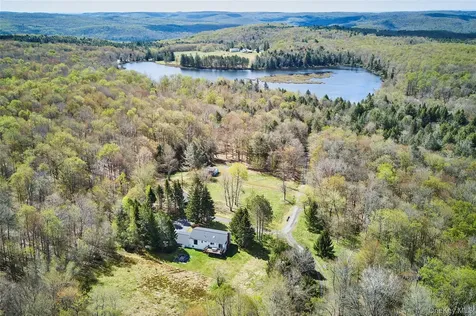 453 Little Ireland Road Livingston Manor NY 12758