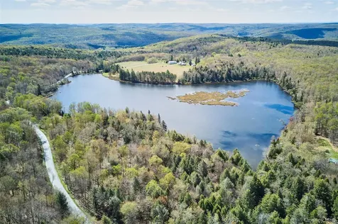 453 Little Ireland Road Livingston Manor NY 12758